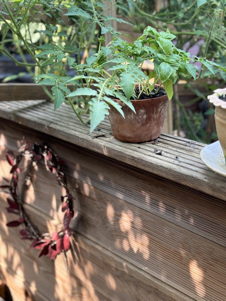 Terracotta & Morgenlicht